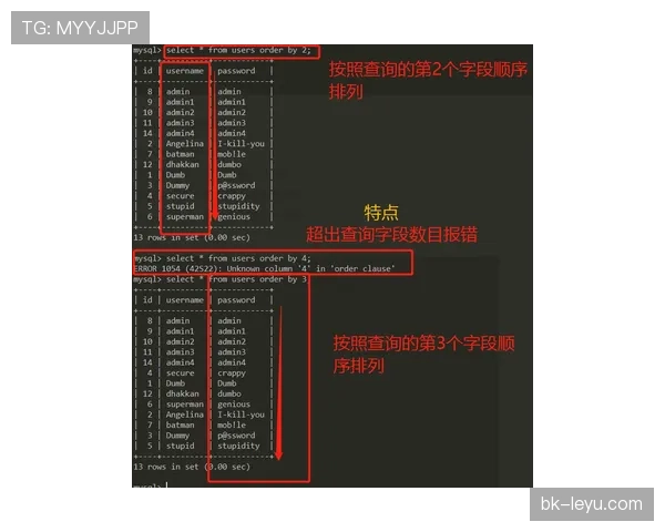 《数据解码：红魔攻防两端展现新气象，战术调整初显成效》