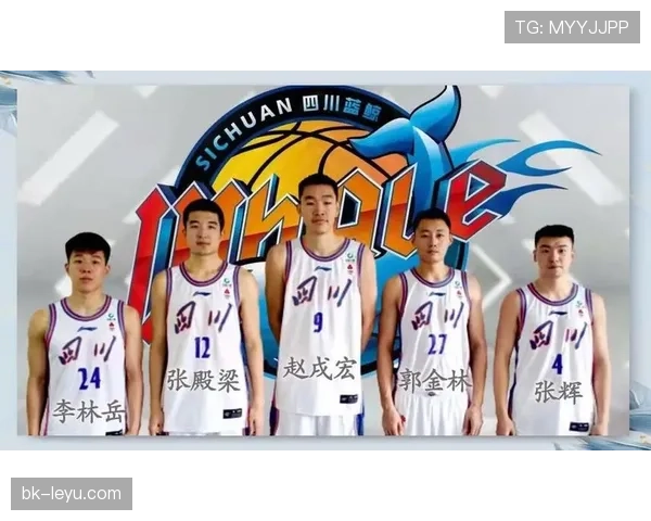 新援加盟引爆期待，球迷盼其上演稳健奇迹时刻