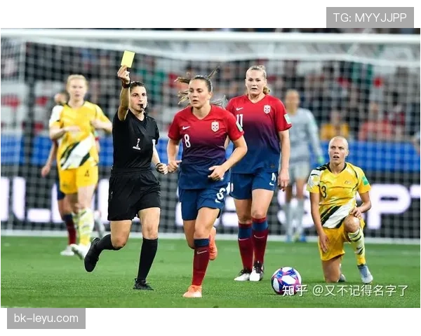 爱尔兰世界杯征程：激情与梦想铸就的辉煌时刻