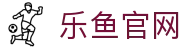 leyu乐鱼 - 篮球看台专属视角 | 球迷的赛场第二现场